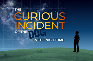 curious incident of the dog in the night-time