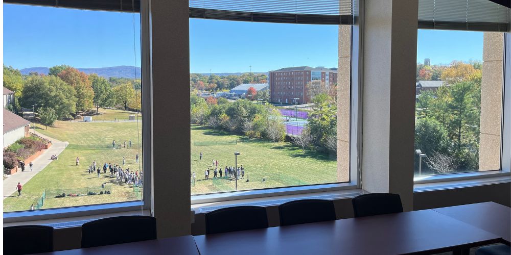 VIew from 4th floor conference window