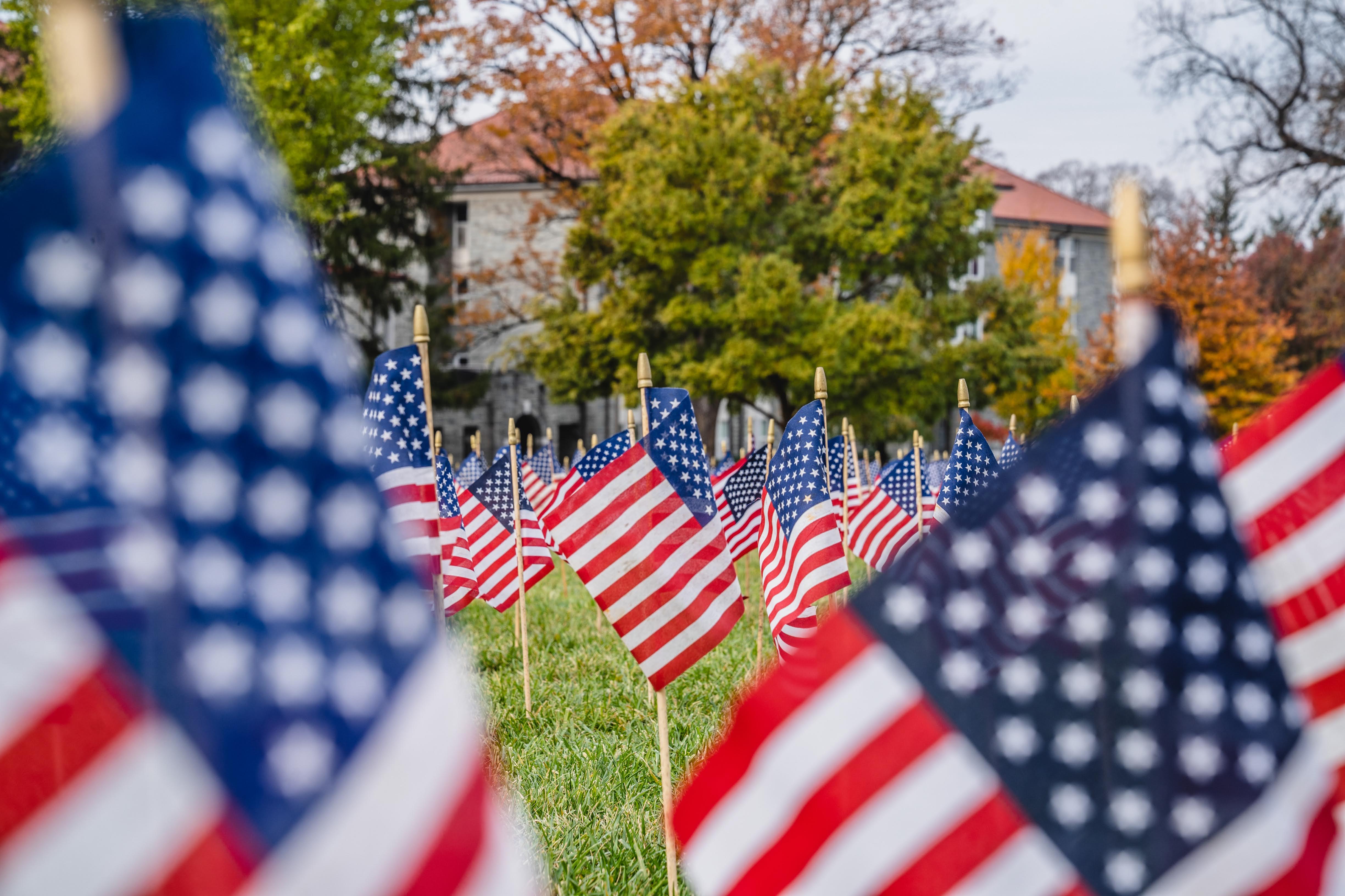 A photo of American flags on JMU's Quad.