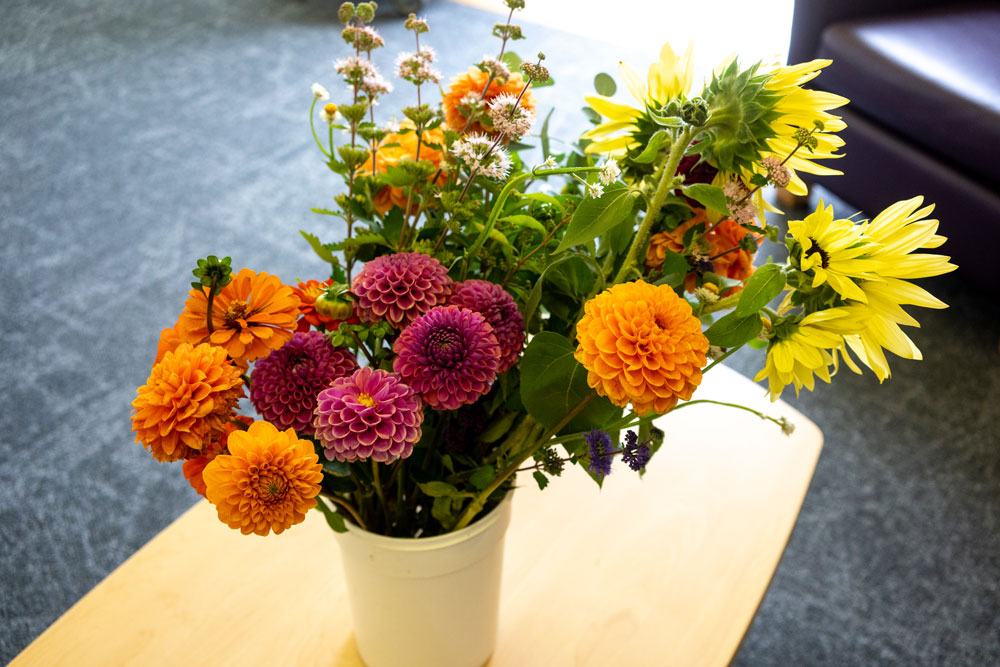 flowers-in-bucket.jpg