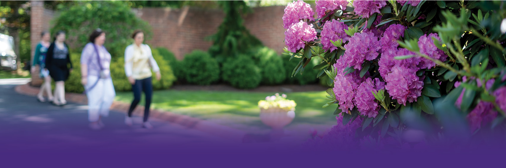 Cover Photo Image